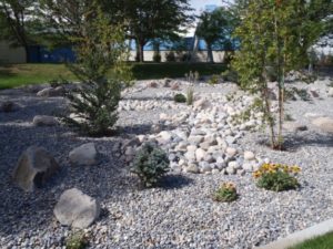 Xeriscaping is a great way to conserve water. 