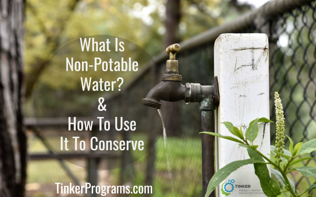 Non-Potable Water: How To Use It To Conserve