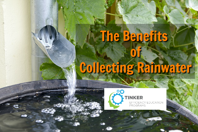 The Benefits of Collecting Rainwater