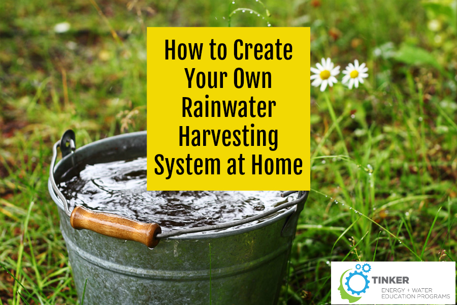 How to Create Your Own Rainwater Harvesting System at Home