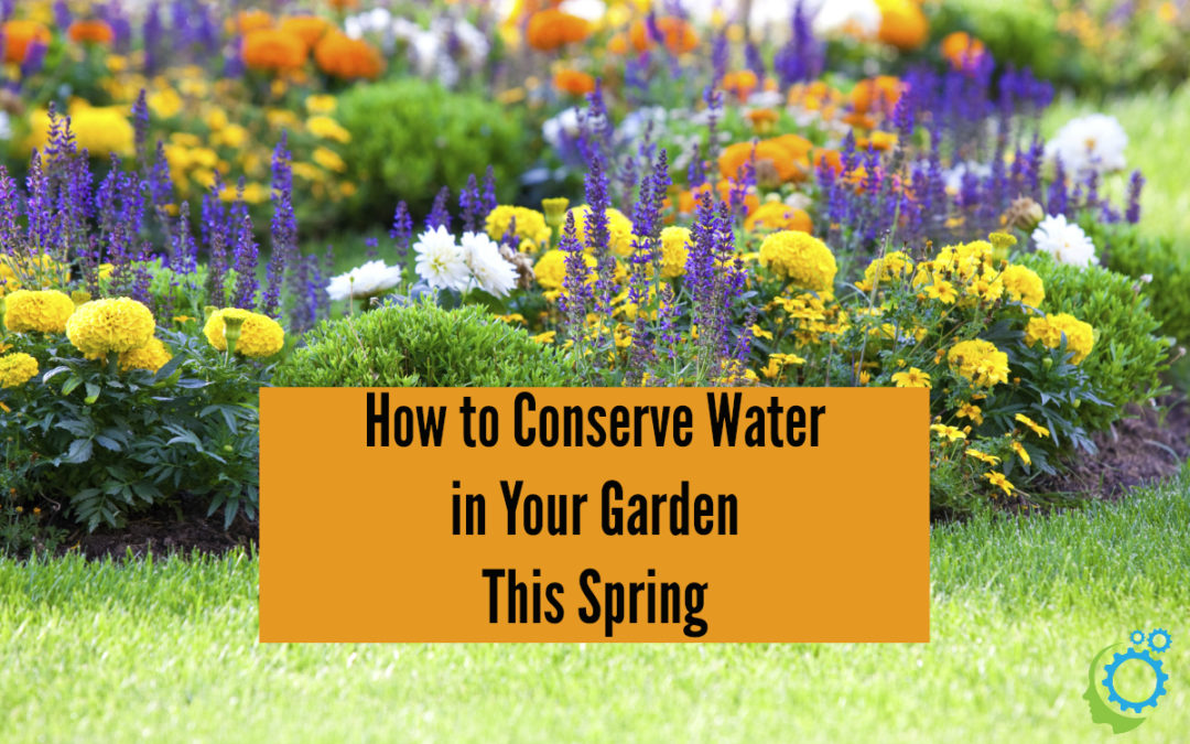 How to Conserve Water in Your Garden This Spring