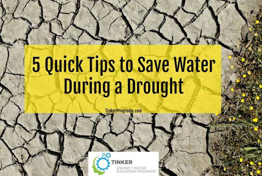 5 Quick Tips to Save Water During a Drought