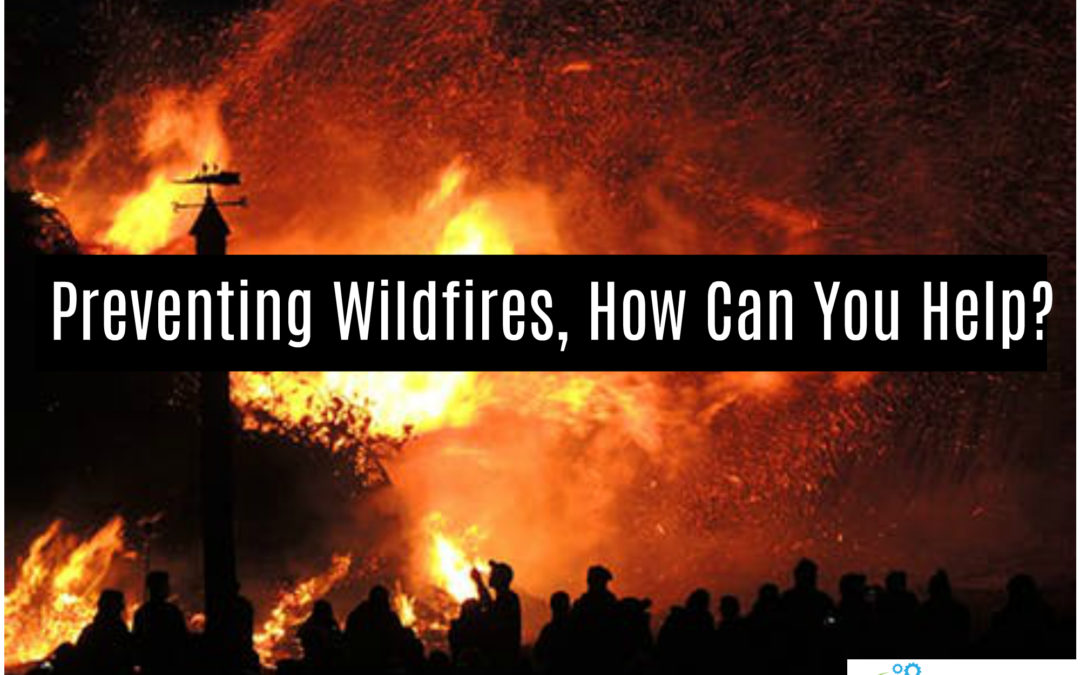Preventing Wildfires, How Can You Help?