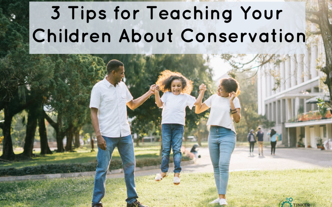 3 Tips for Teaching Your Children About Conservation